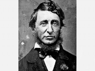 Thoreau David picture, image, poster
